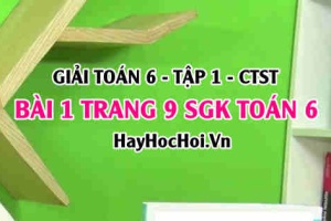 Giải bài 1 trang 9 Toán 6 Tập 1 SGK Chân trời sáng tạo